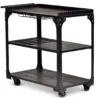 Sherlock Rolling Server Cart 2 Sherlock Rolling Server Cart -Furniture Specialty Shop 810423041 2