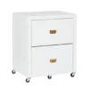 Kari White 2-Drawer Rolling Filing Cabinet -Furniture Specialty Shop 810543247 1