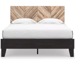 Piperton Black Queen Platform Bed Base -Furniture Specialty Shop 810591748 810591749 4 1